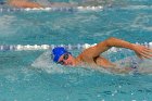Swimming vs Bentley  Wheaton College Swimming vs Bentley. - Photo By: KEITH NORDSTROM : Wheaton, Swimming, Bentley
